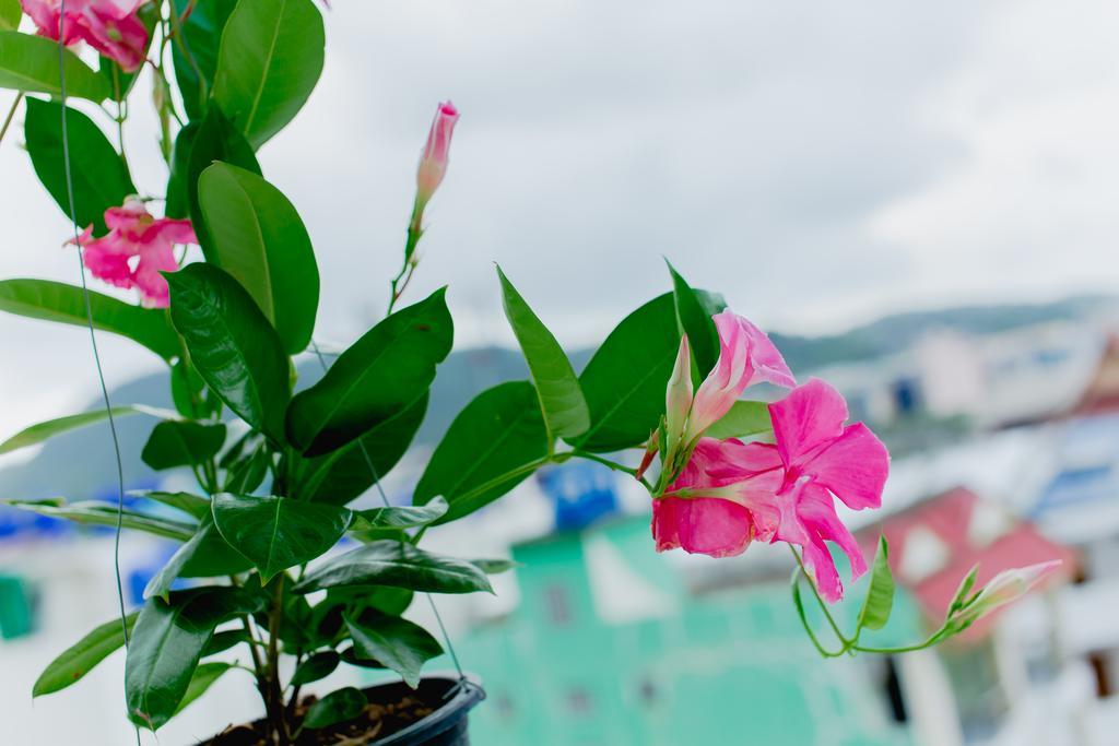 Rk Guesthouse Patong Luaran gambar